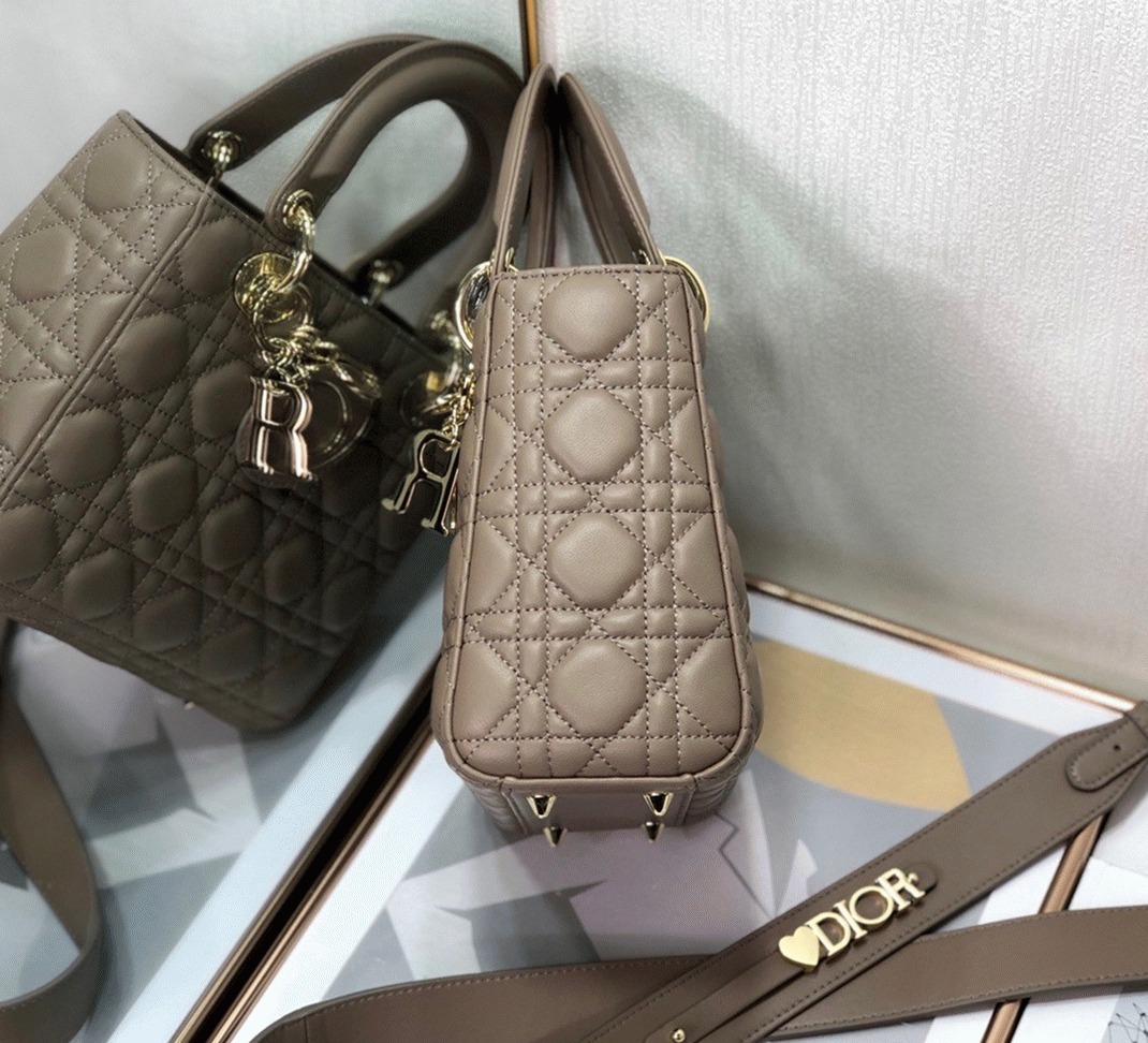 D10r Small Lady D10r My ABCD10r Bag Fake in Warm Taupe
