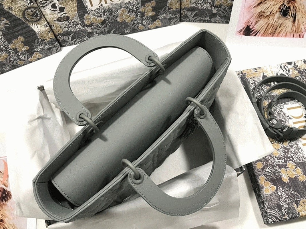 D10r Lady D10r Large Bag Fake in Grey