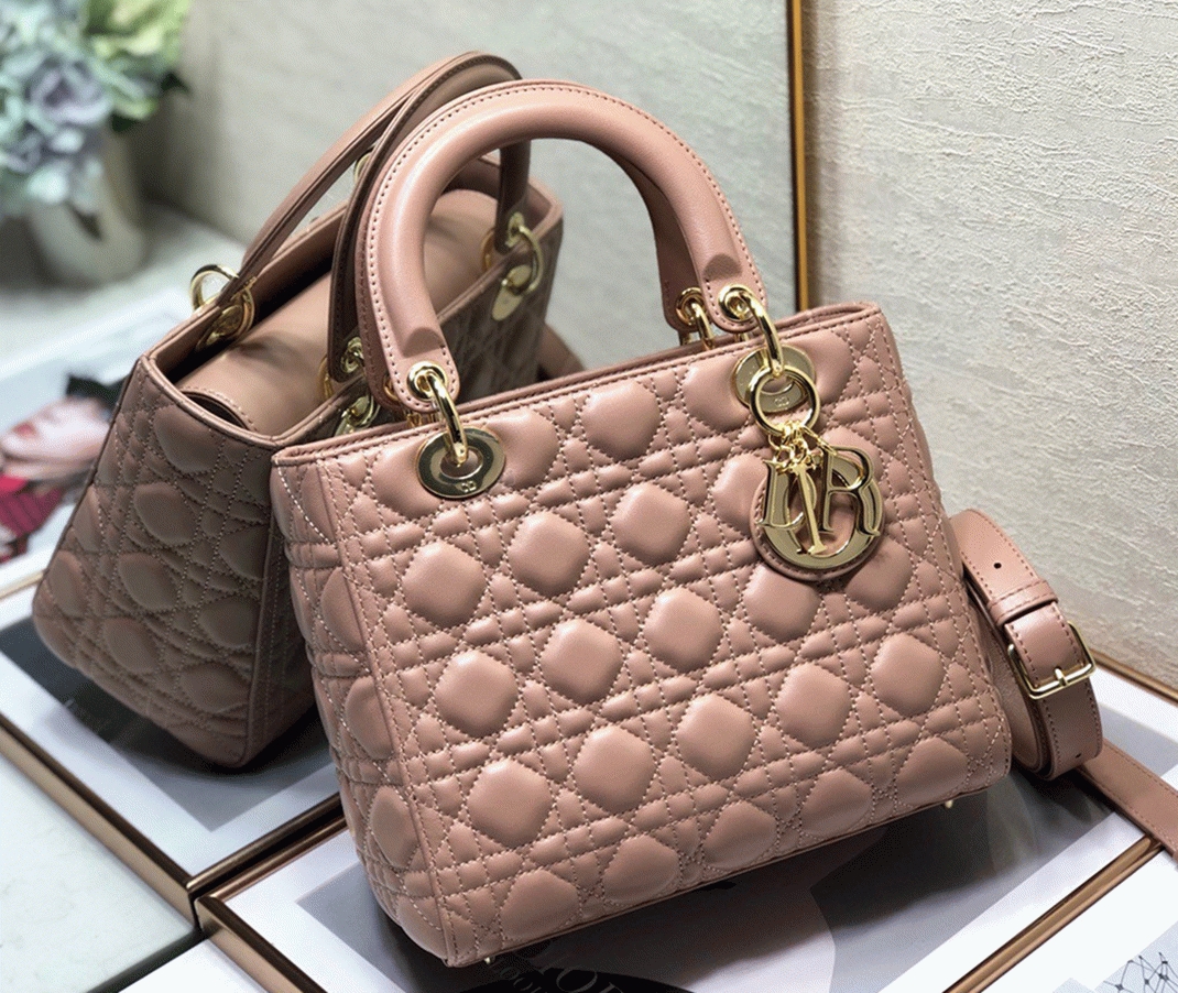 D10r Lady D10r Medium Bag Fake in Blush