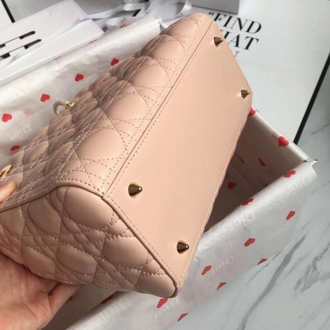 D10r Lady D10r Medium Bag Replica in Powder