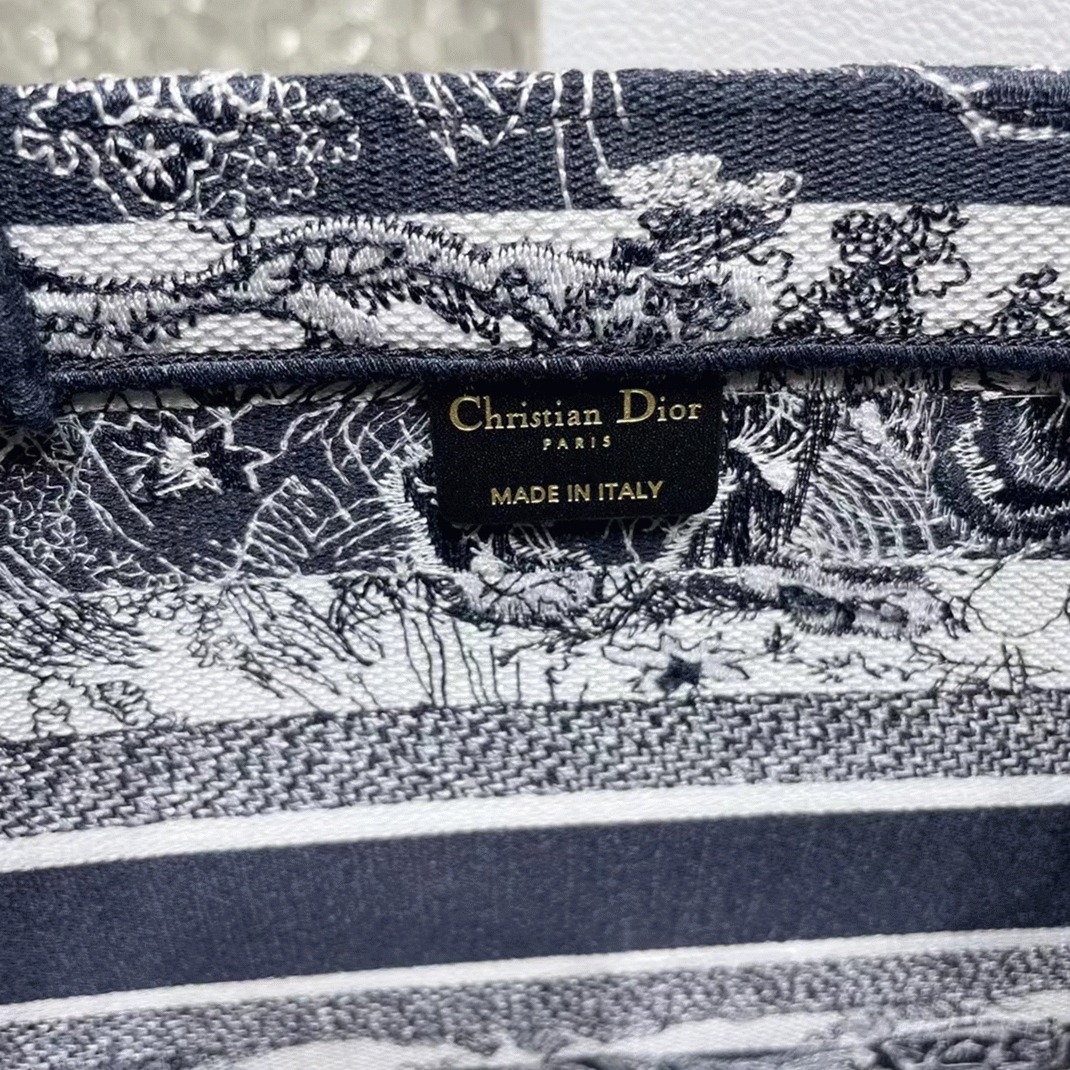 D10r Large Book Tote Bag Fake in Blue Toile de Jouy Stripes Embroidery