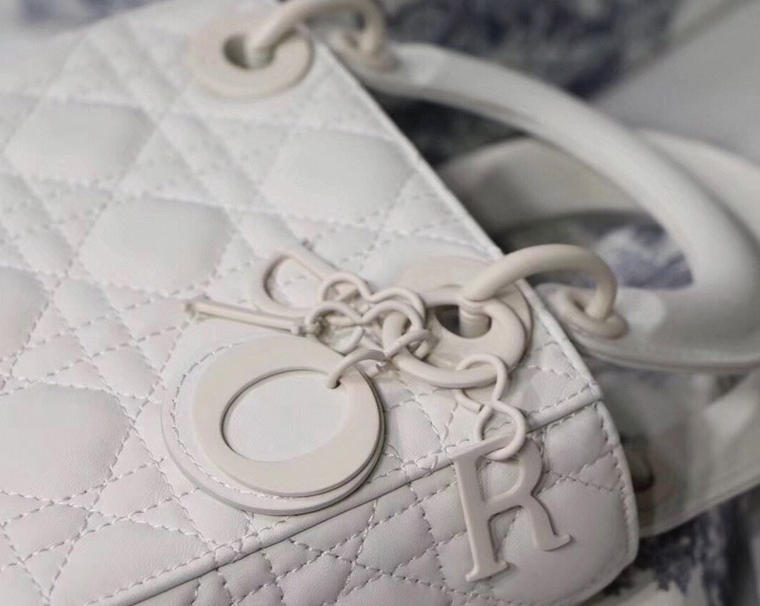 D10r Lady D10r Mini Chain Bag Fake in White