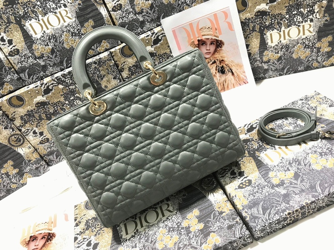 D10r Lady D10r Large Bag Replica in Grey