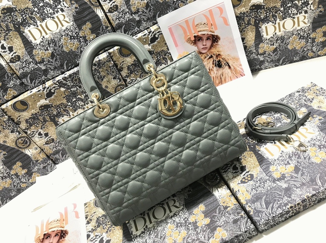 D10r Lady D10r Large Bag Replica in Grey