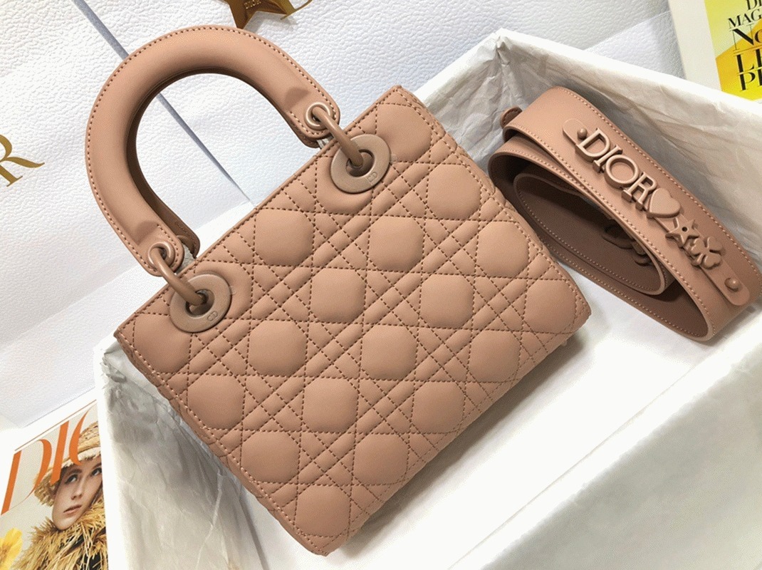D10r Small Lady D10r My ABCD10r Bag Replica in Blush