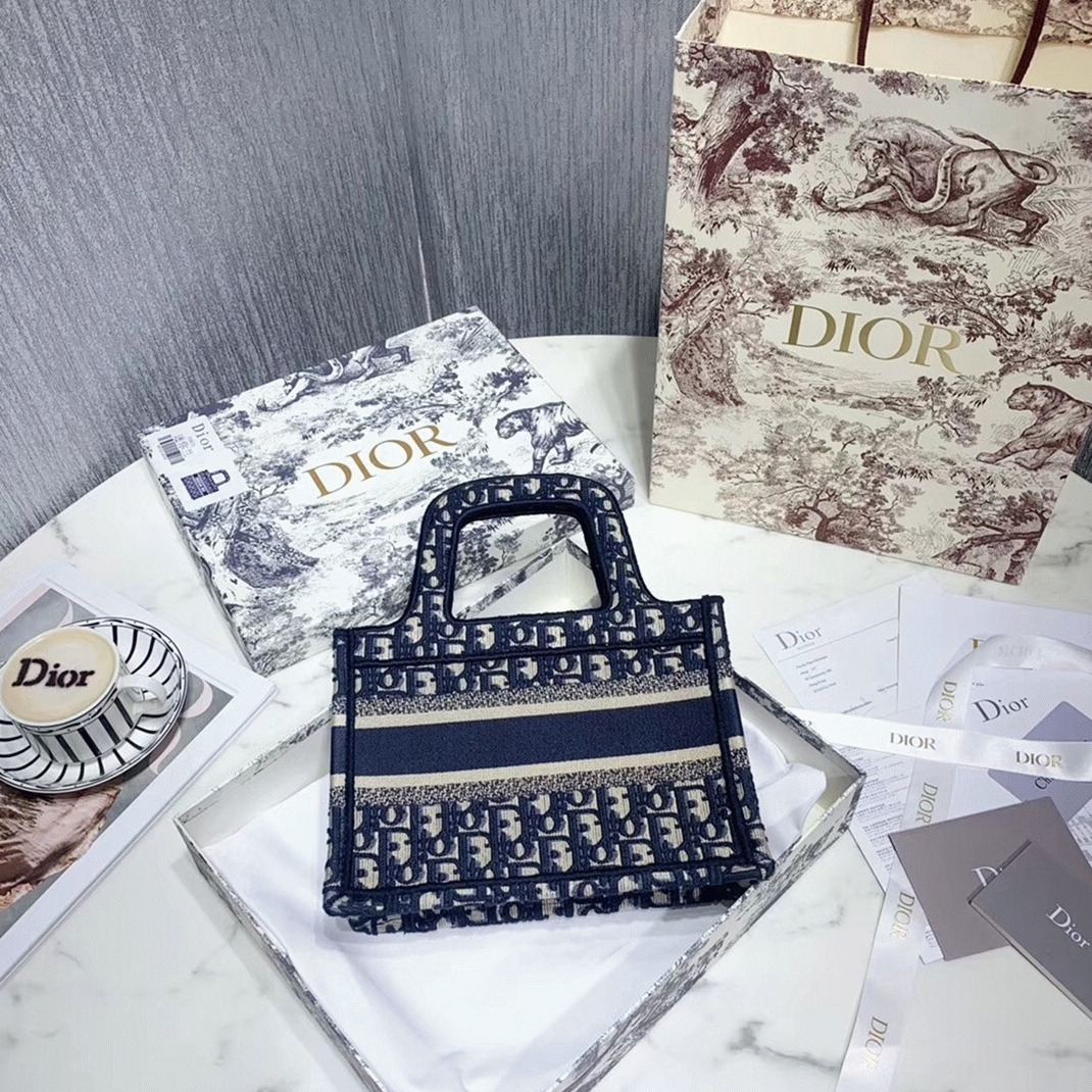 D10r Mini Book Tote Bag Fake in Blue D10r Oblique Embroidery