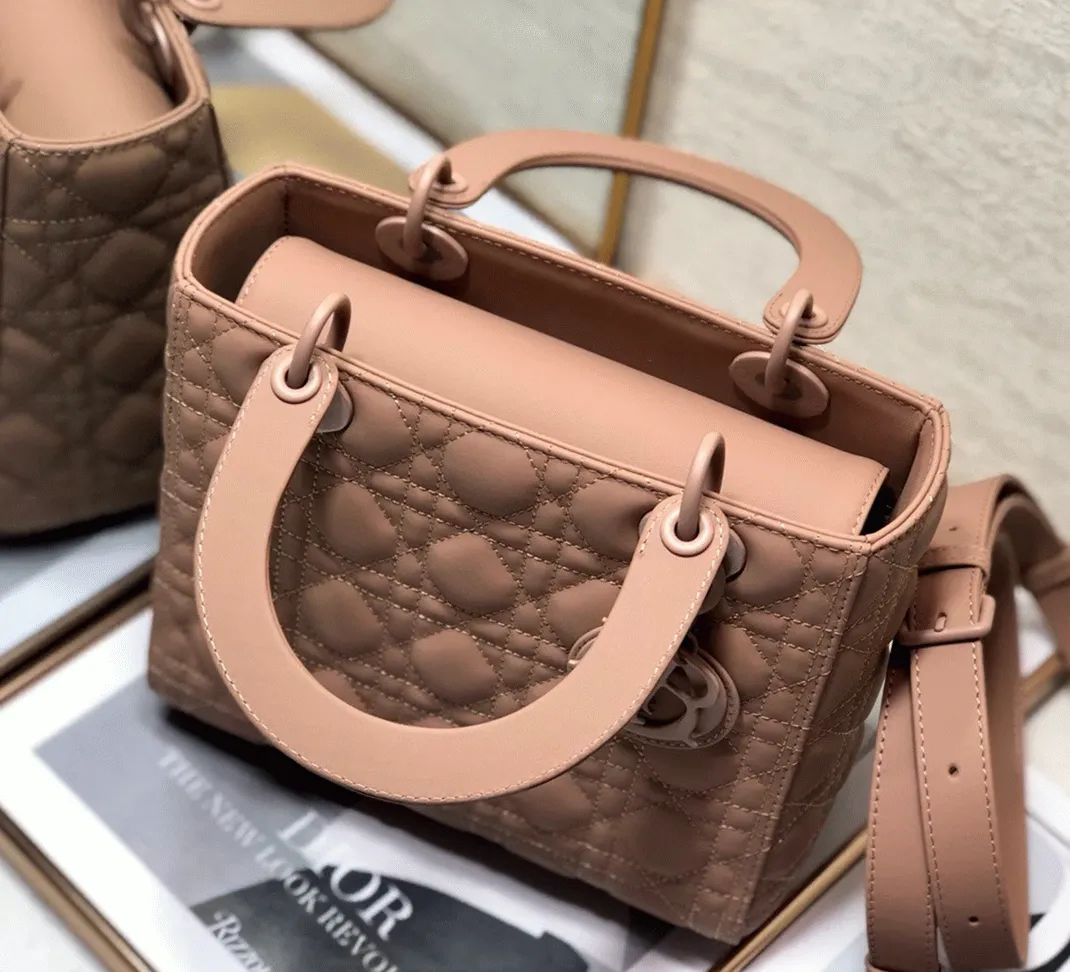 D10r Lady D10r Medium Bag Fake in Blush