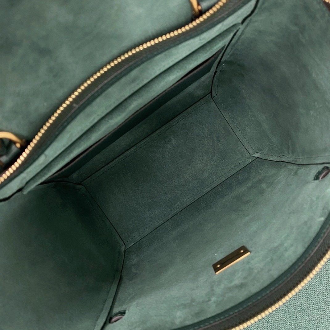 Ce1i*e Micro Belt Bag Fake in Amazone