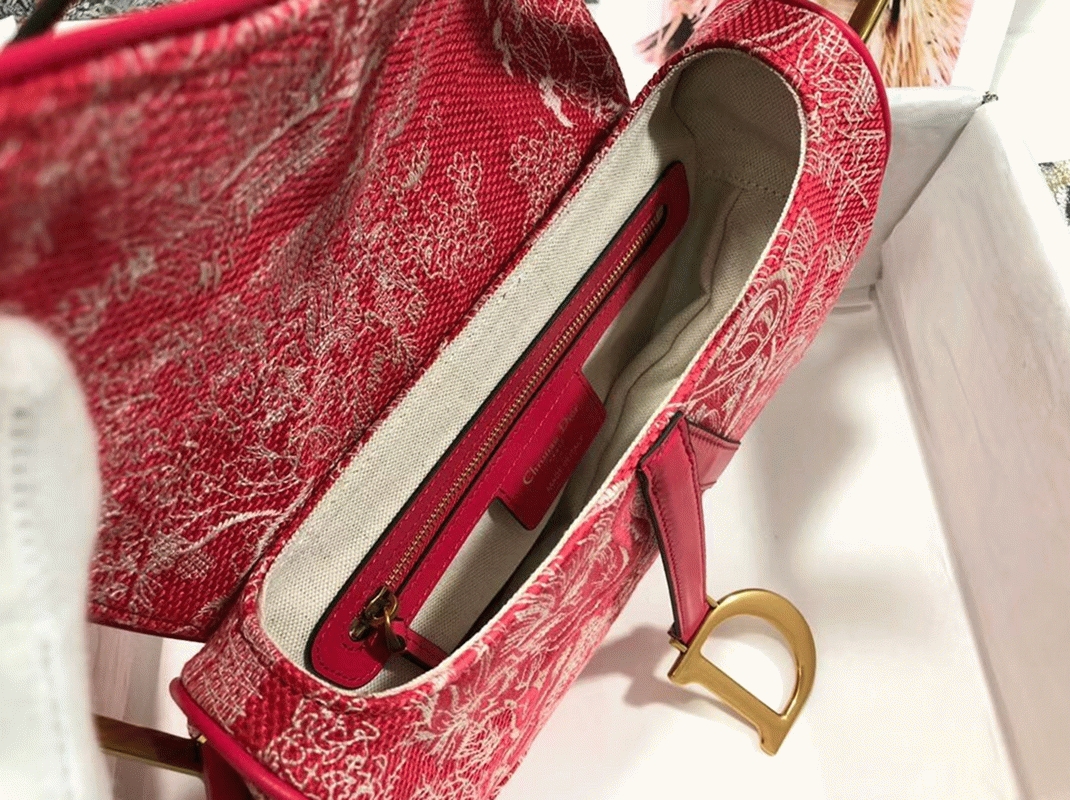 D10r Saddle Bag Imitation in Red Toile de Jouy Reverse Jacquard