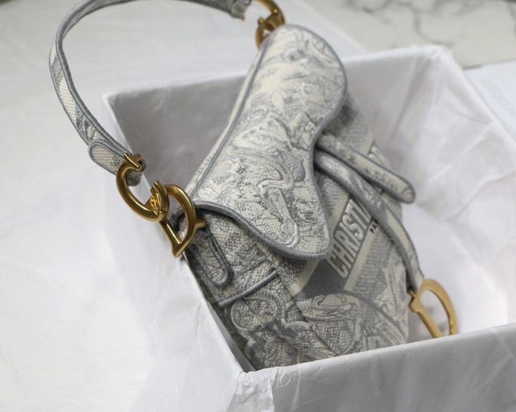 D10r Saddle Bag Fake in Grey Toile de Jouy Embroidery