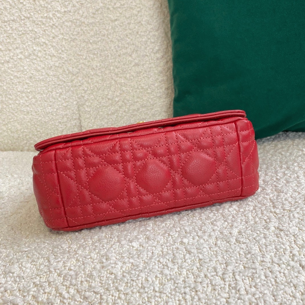 D10r Caro Small Bag Faux in Red