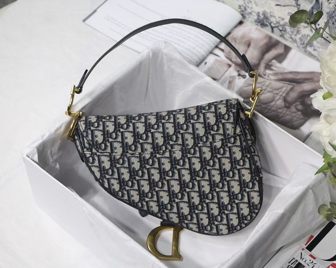 D10r Saddle Bag Knockoff in Blue D10r Oblique Jacquard