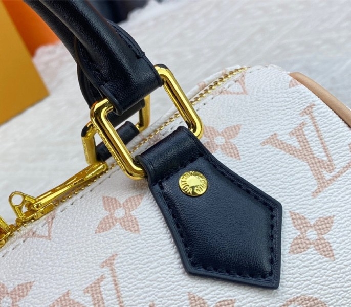 L0vis Vvtt0n Monogram Dune Canvas Speedy 20 Handbag With Strap