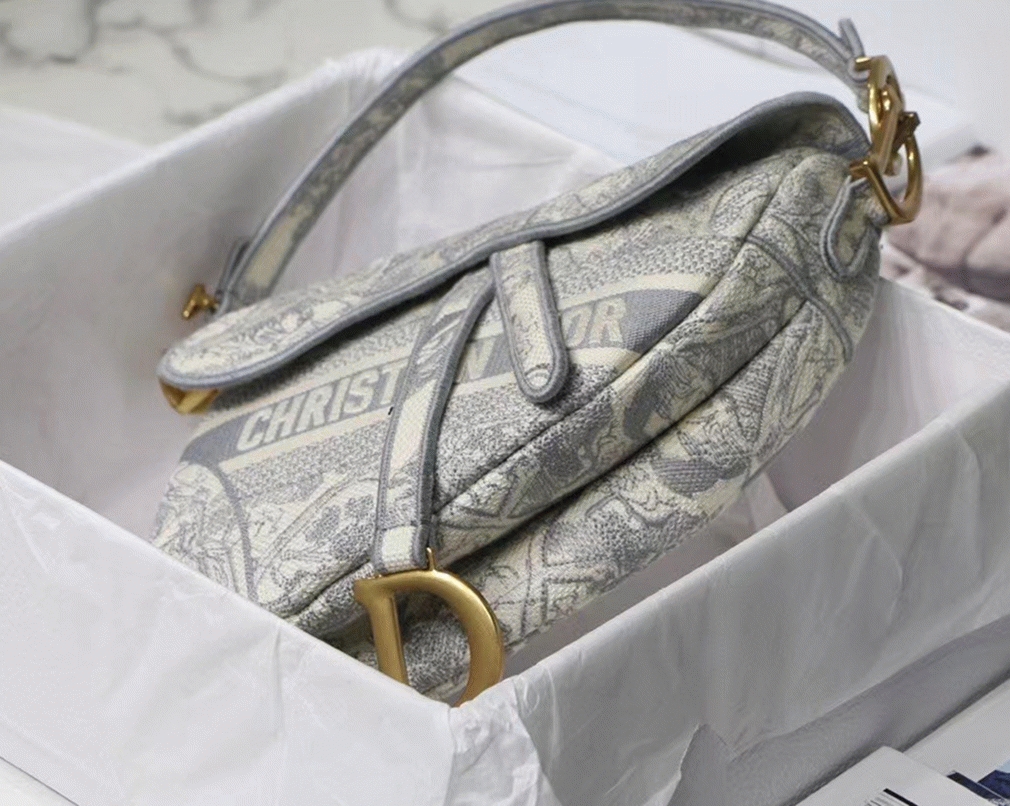 D10r Saddle Bag Fake in Grey Toile de Jouy Embroidery