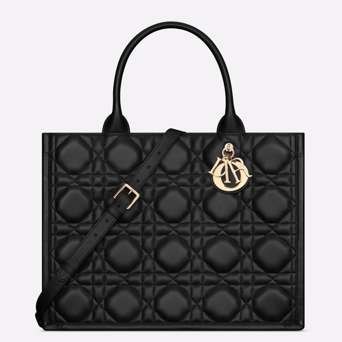 D10r Medium Book Tote Bag Fake with Strap in Black