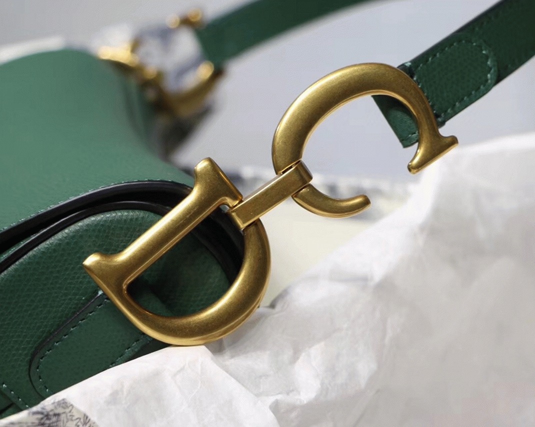 D10r Saddle Bag Faux in Green Grained Calfskin
